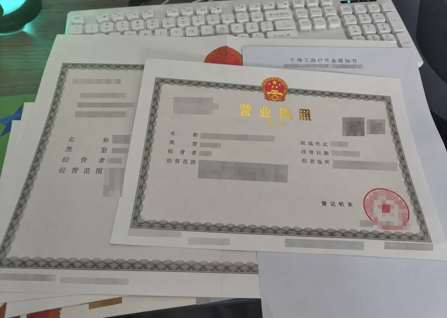 Business registration documents with identifying information redacted for privacy