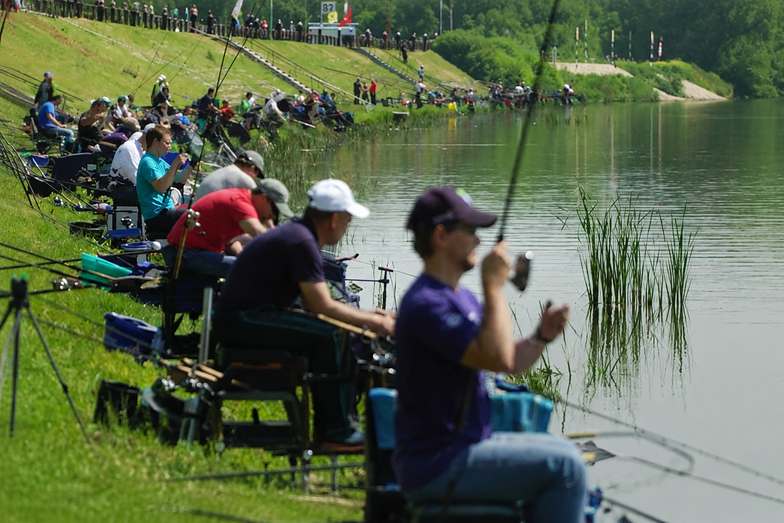 Anglers competing in an Australian fishing tournament beside a lake