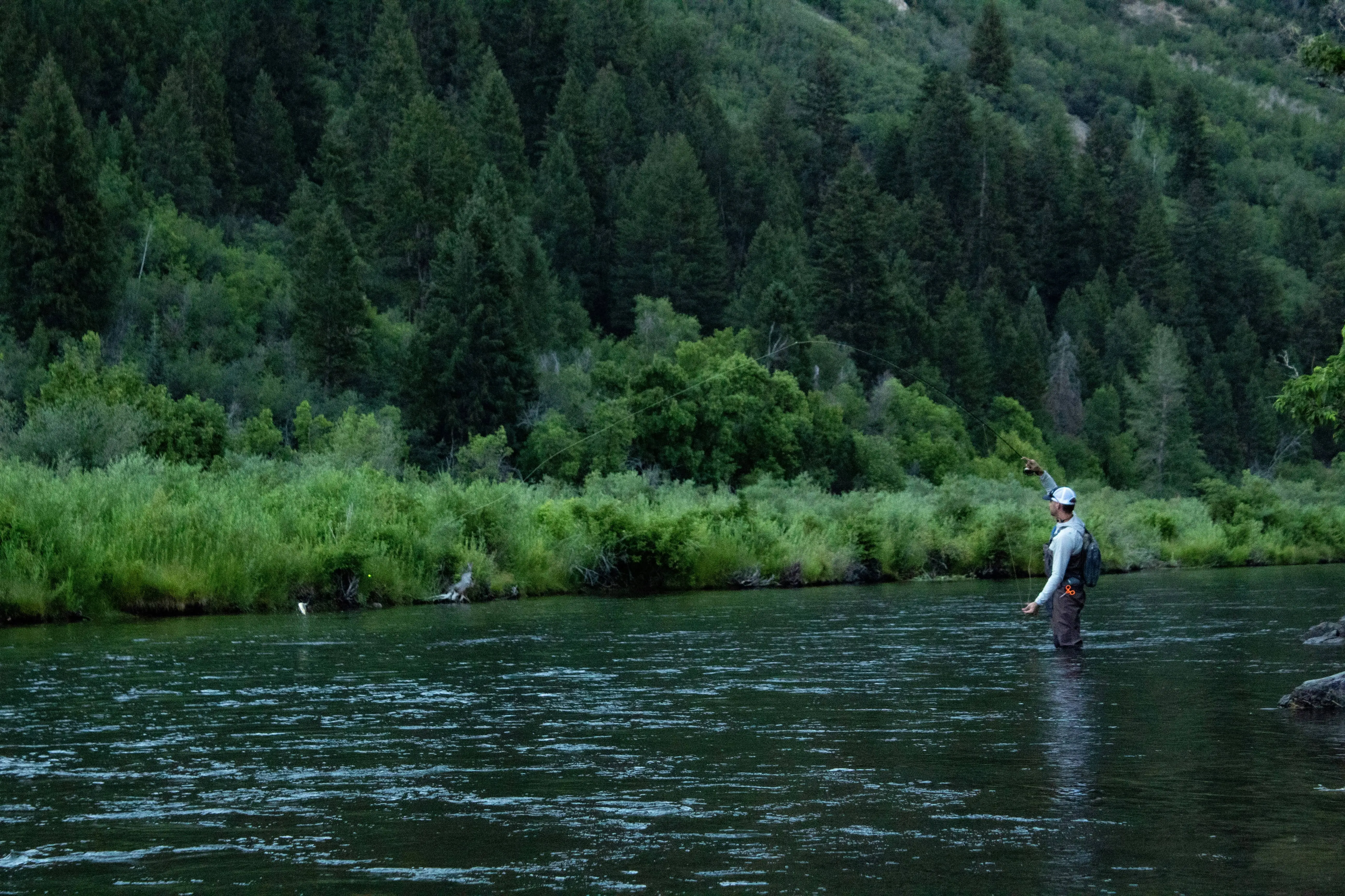 Angler fishing in a river surrounded by forest