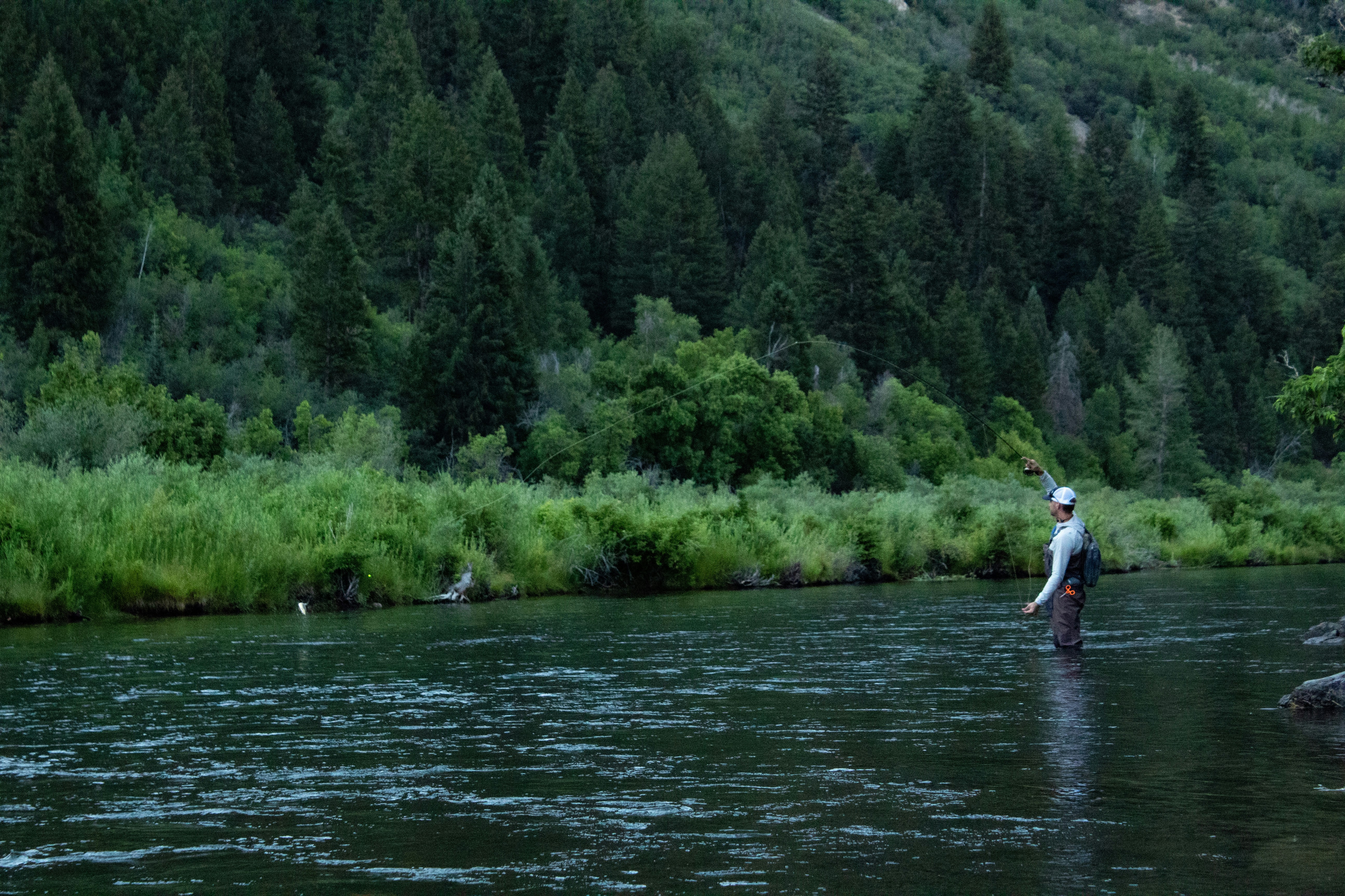 Angler fishing in a river surrounded by forest